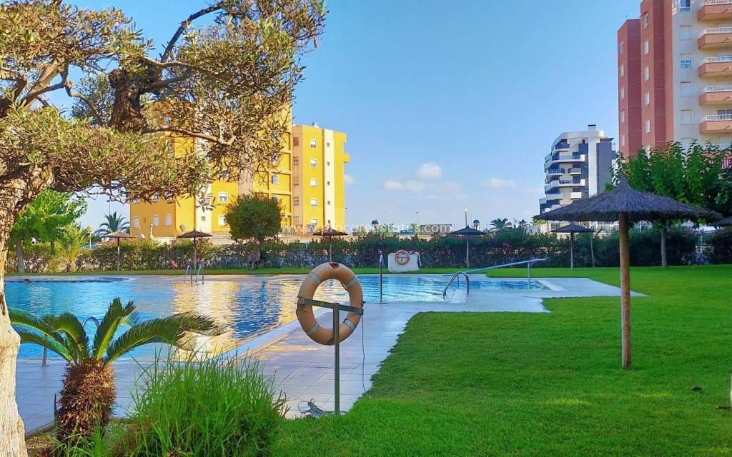 Verkoop - Appartement - Torrevieja - Acequion