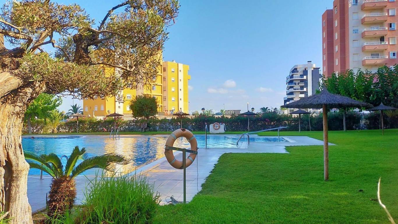 Verkoop - Appartement - Torrevieja - Acequion