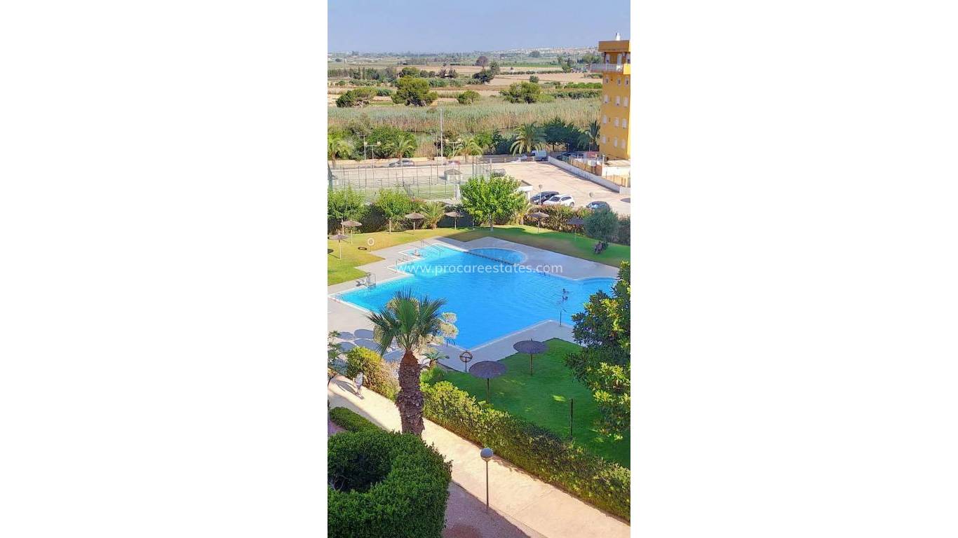 Verkoop - Appartement - Torrevieja - Acequion