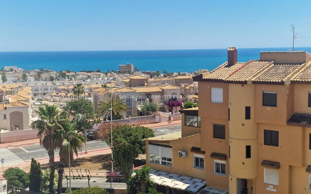 Verkoop - Appartement - Torrevieja - Cabo Cervera