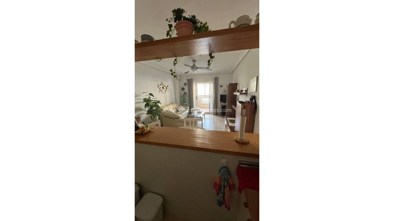 Verkoop - Appartement - Torrevieja - Cabo Cervera