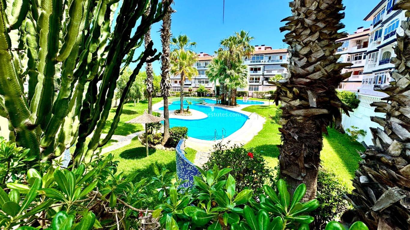 Verkoop - Appartement - Torrevieja - Cañada del Molino