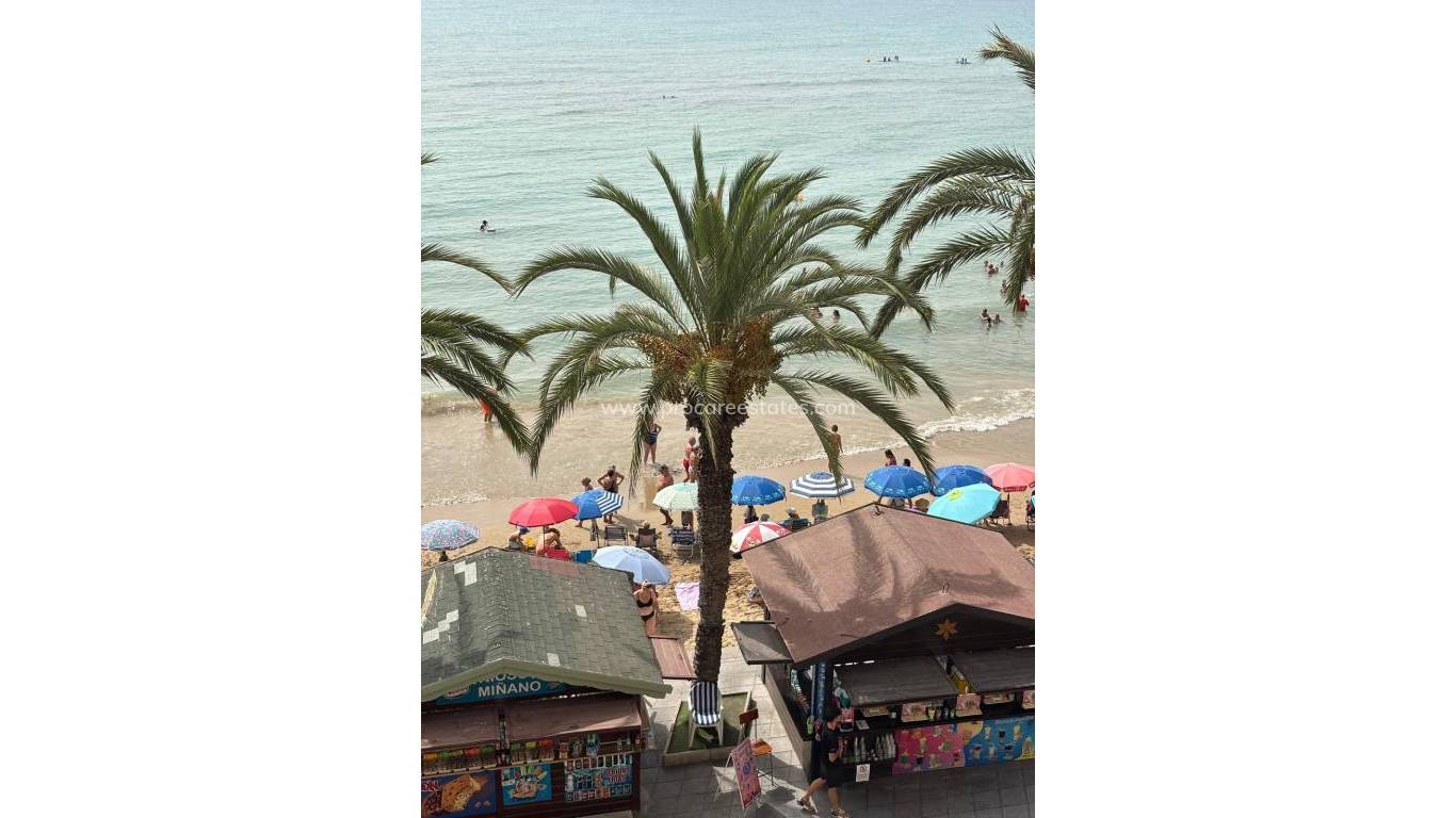 Verkoop - Appartement - Torrevieja - Playa Del Cura