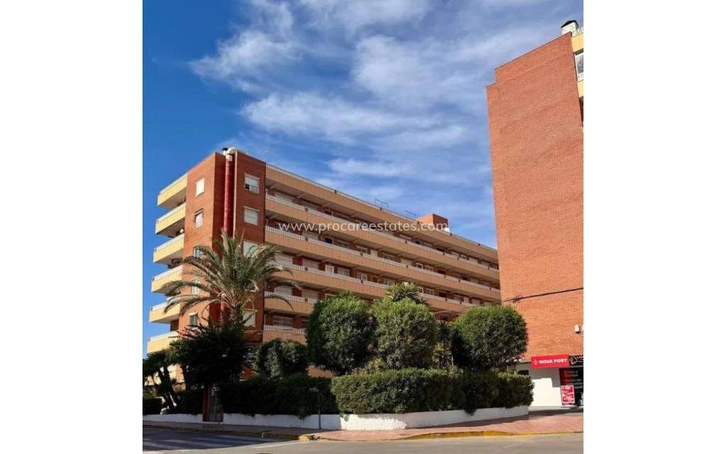 Verkoop - Appartement - Torrevieja - Punta Prima