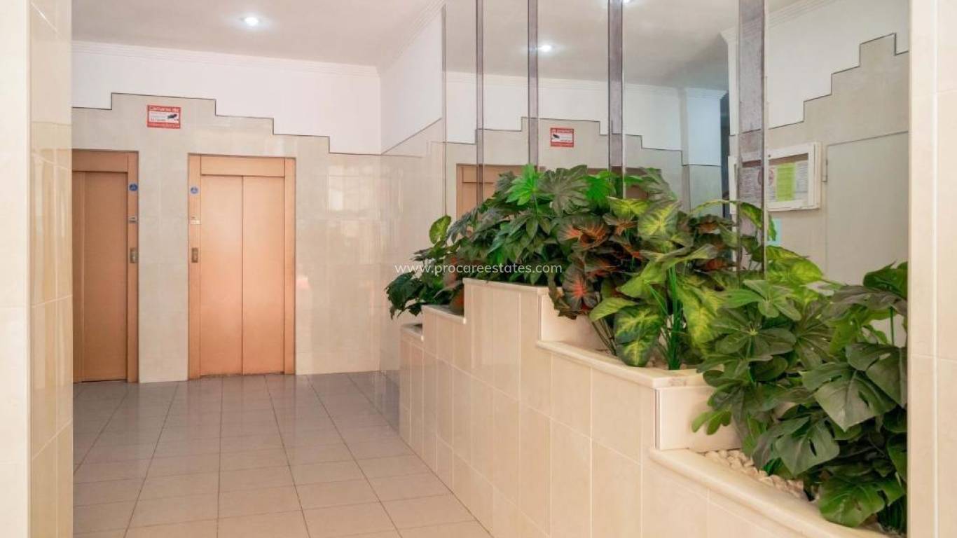 Verkoop - Appartement - Torrevieja - Torrevieja Center