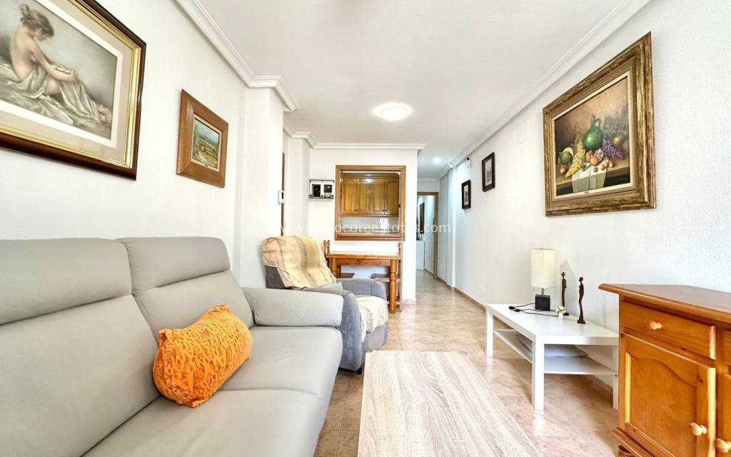 Verkoop - Appartement - Torrevieja - Torrevieja Center