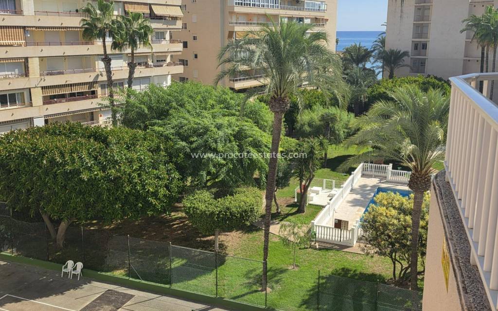 Verkoop - Appartement - Torrevieja - Torrevieja Center