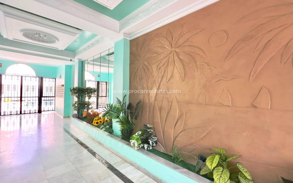 Verkoop - Appartement - Torrevieja
