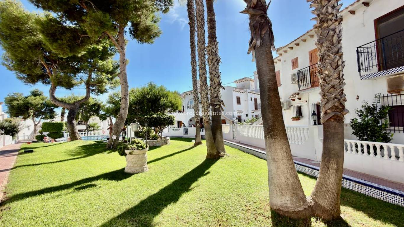 Verkoop - Appartement - Torrevieja