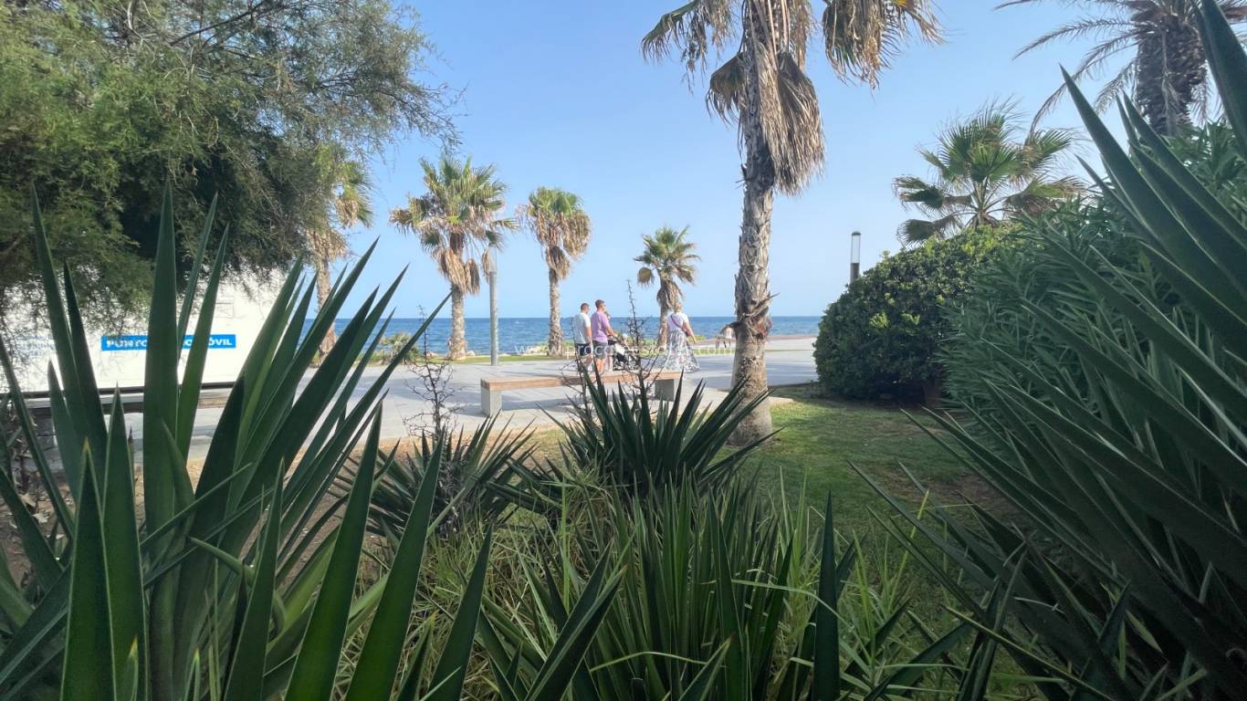 Verkoop - Commercieel vastgoed - Torrevieja - Comunidad Valenciana