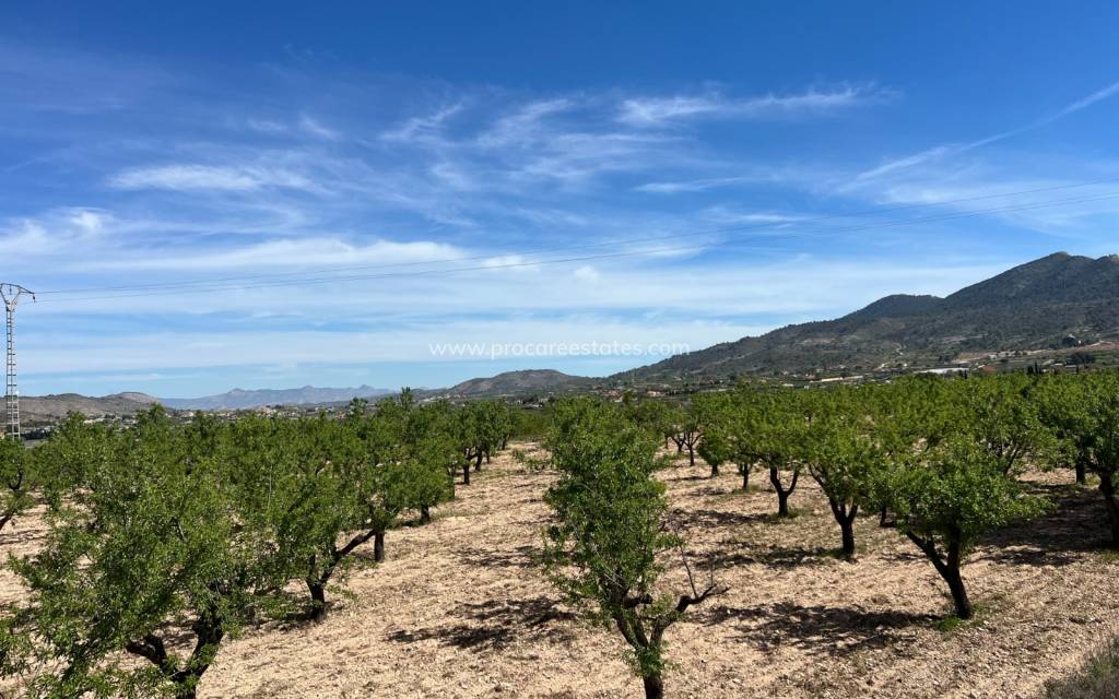 Verkoop - Land - Hondon De Los Frailes