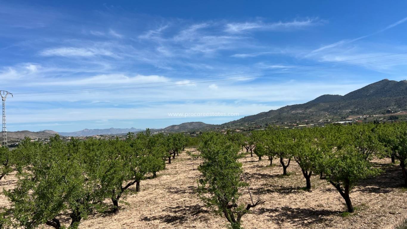 Verkoop - Land - Hondon De Los Frailes