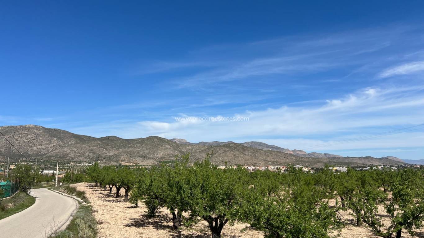 Verkoop - Land - Hondon De Los Frailes