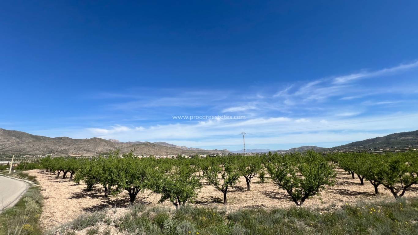 Verkoop - Land - Hondon De Los Frailes