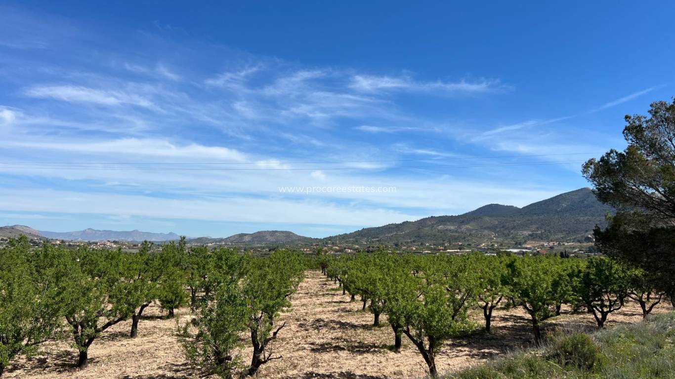 Verkoop - Land - Hondon De Los Frailes