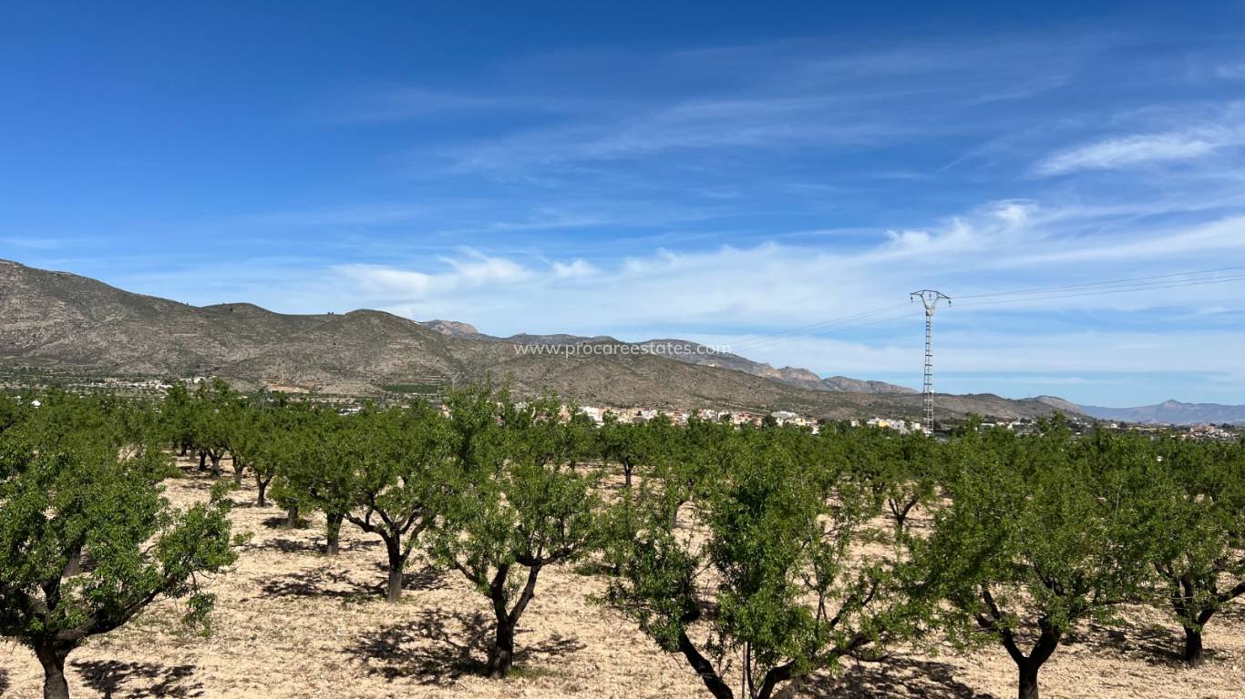 Verkoop - Land - Hondon De Los Frailes