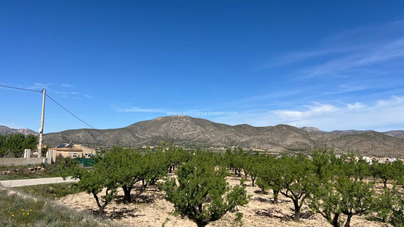 Verkoop - Land - Hondon De Los Frailes