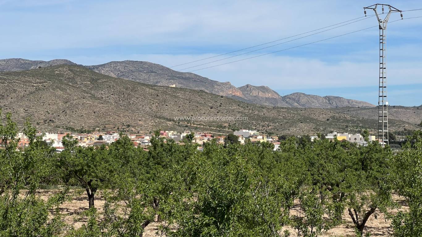 Verkoop - Land - Hondon De Los Frailes