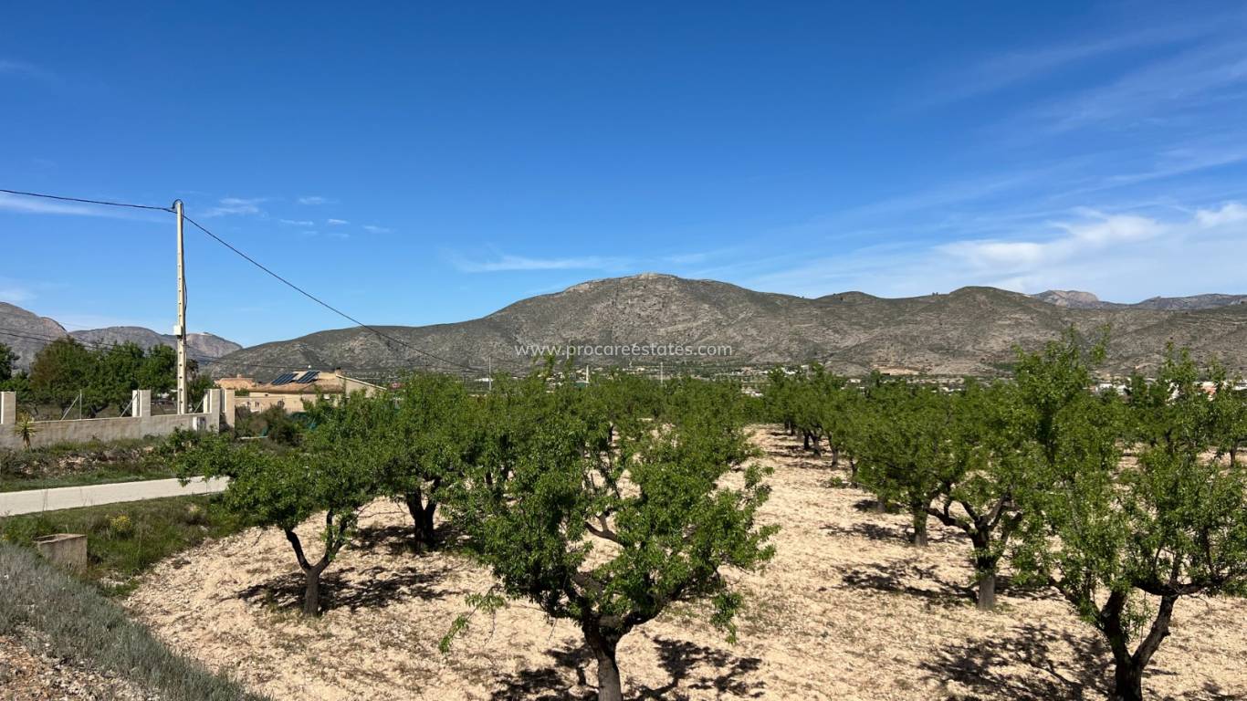 Verkoop - Land - Hondon De Los Frailes