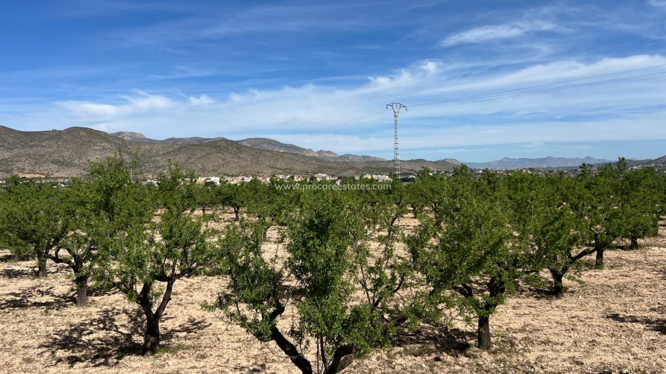 Verkoop - Land - Hondon De Los Frailes