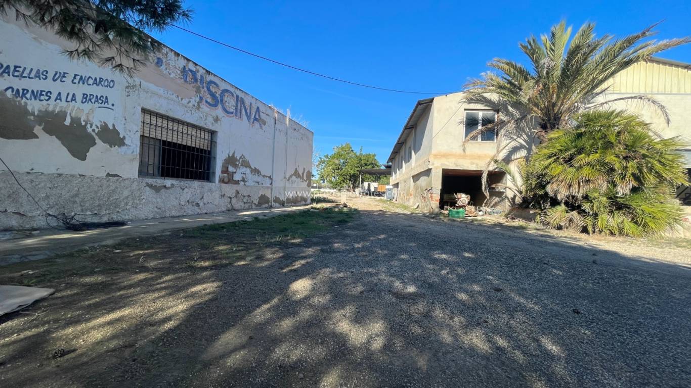 Verkoop - Landhuis - Elche