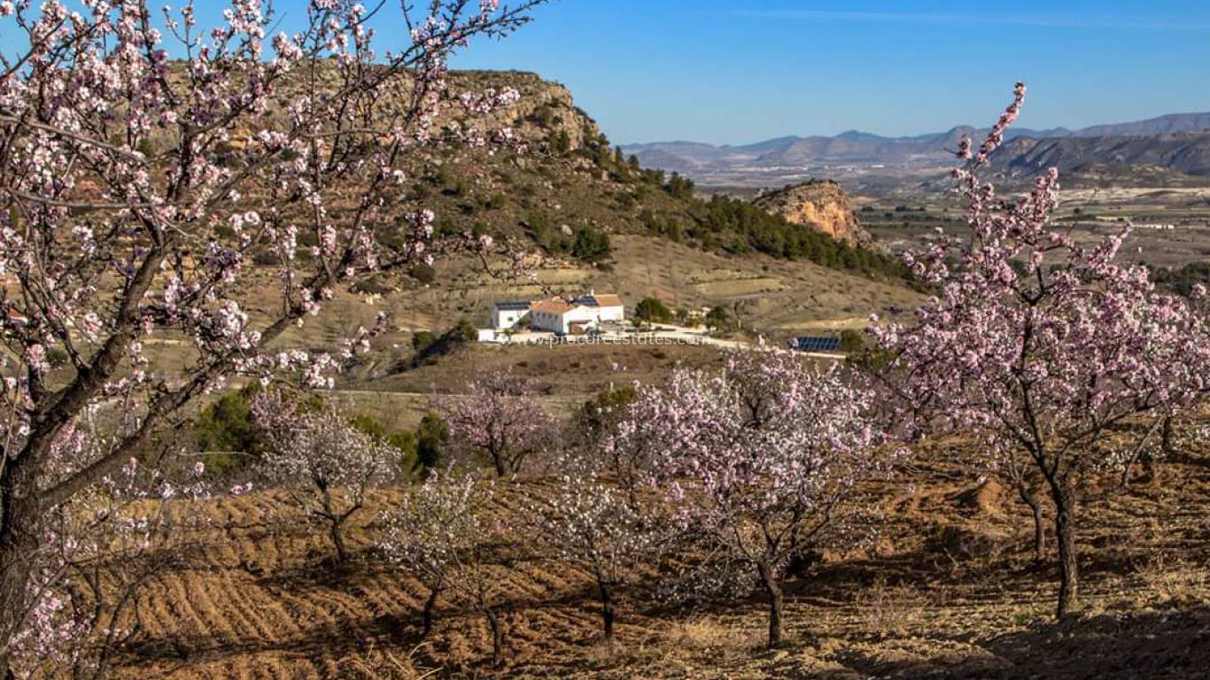Verkoop - Landhuis - Lorca