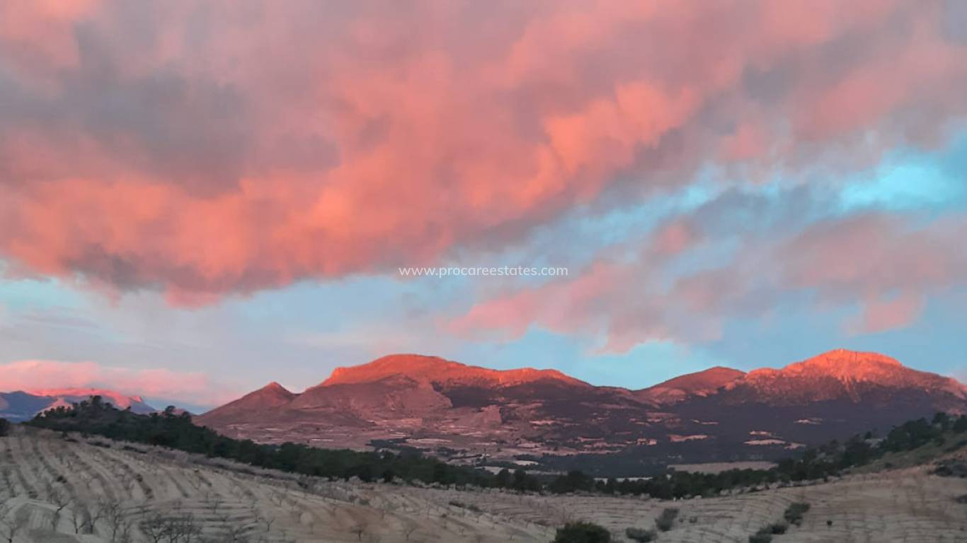 Verkoop - Landhuis - Lorca