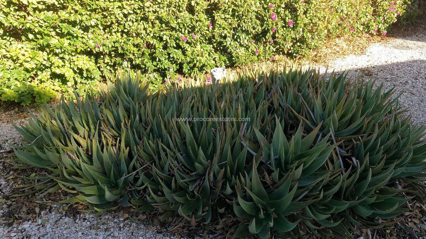 Verkoop - Landhuis - Orihuela