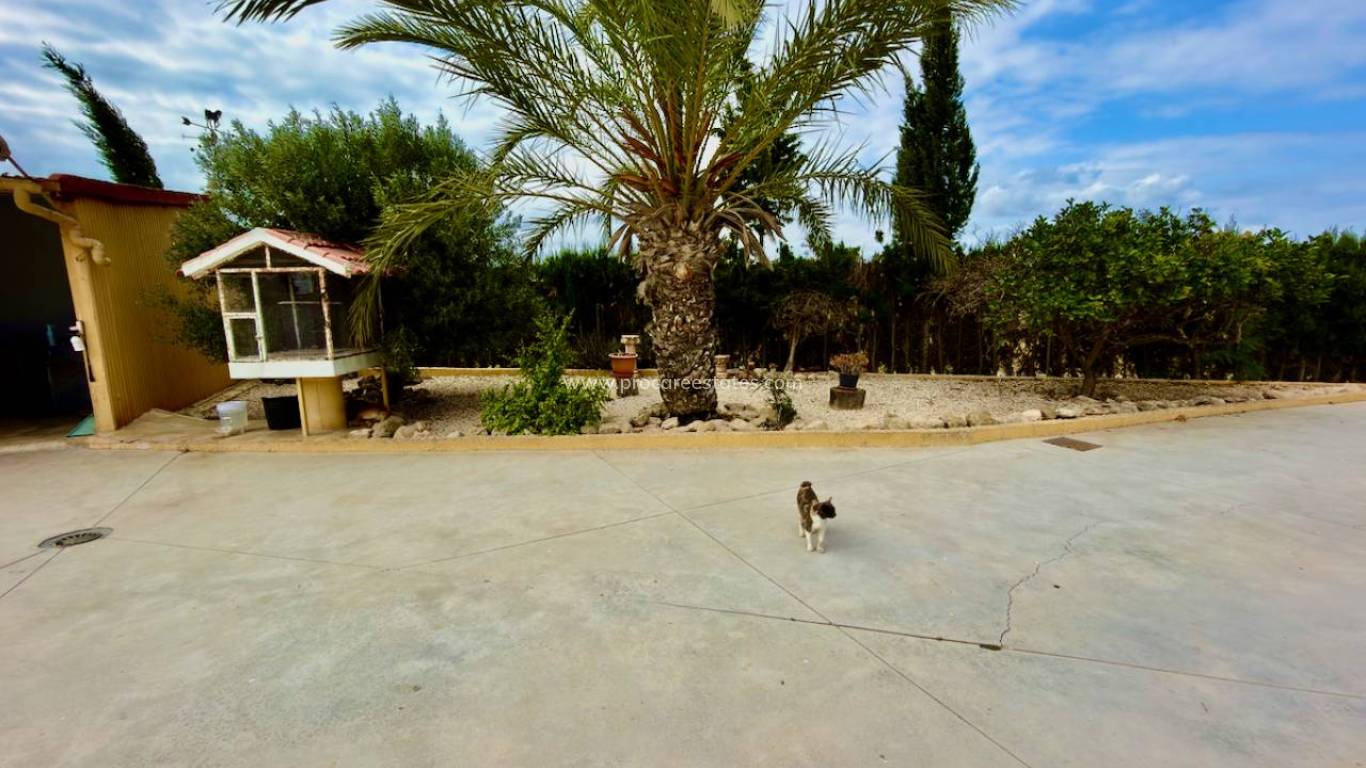 Verkoop - Landhuis - San Fulgencio - La Marina