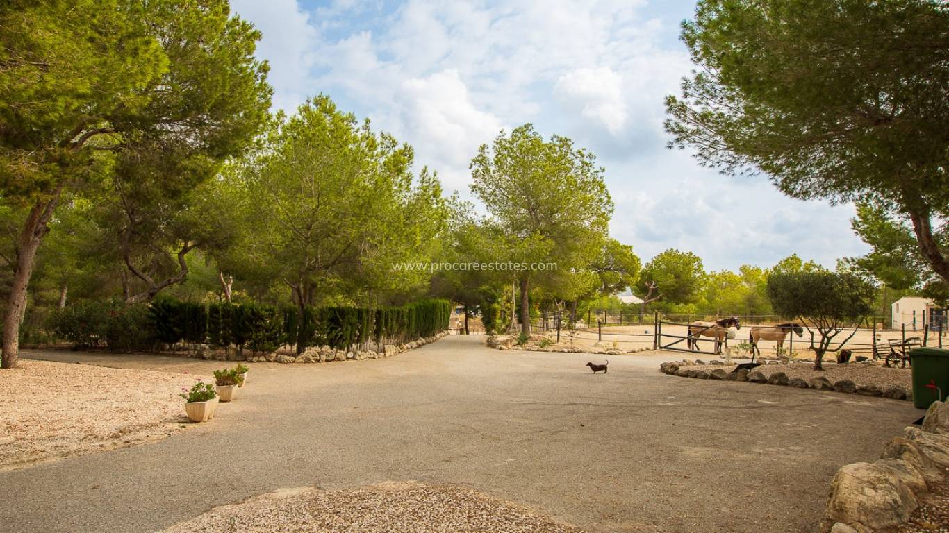 Verkoop - Landhuis - Torremendo