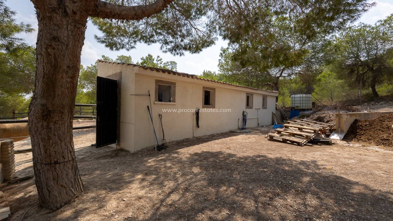 Verkoop - Landhuis - Torremendo