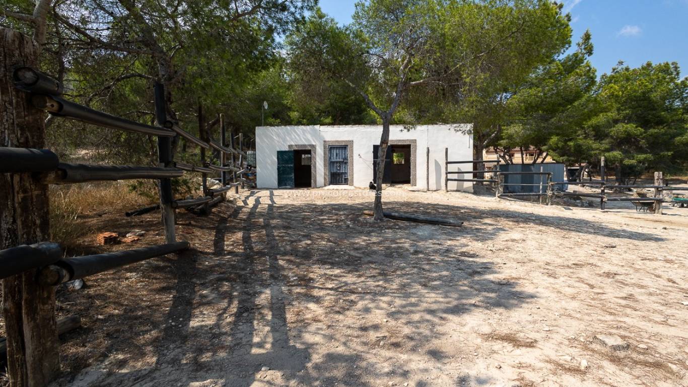 Verkoop - Landhuis - Torremendo