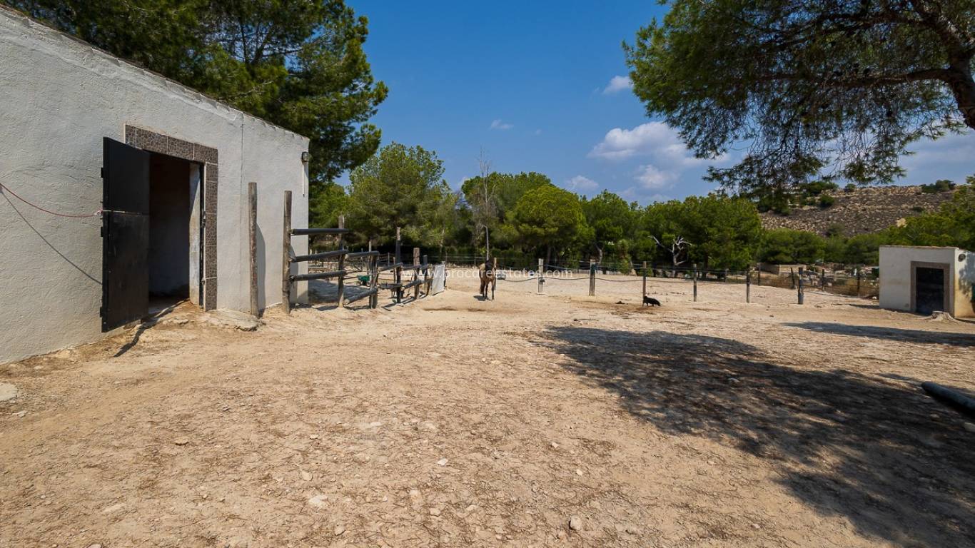 Verkoop - Landhuis - Torremendo