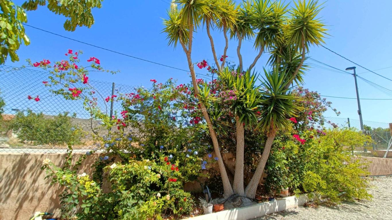 Verkoop - Villa - Abanilla