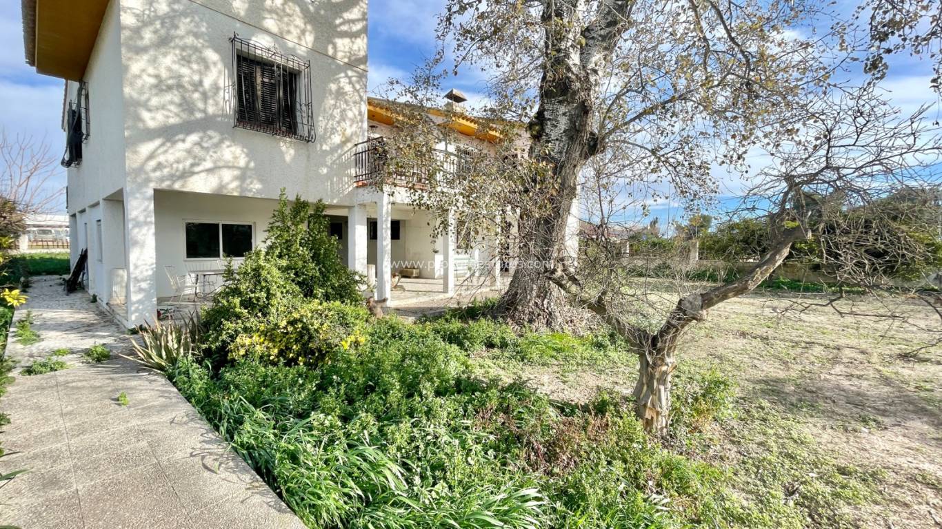 Verkoop - Villa - Benejuzar - Comunidad Valenciana
