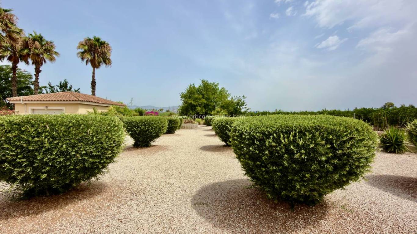 Verkoop - Villa - Catral