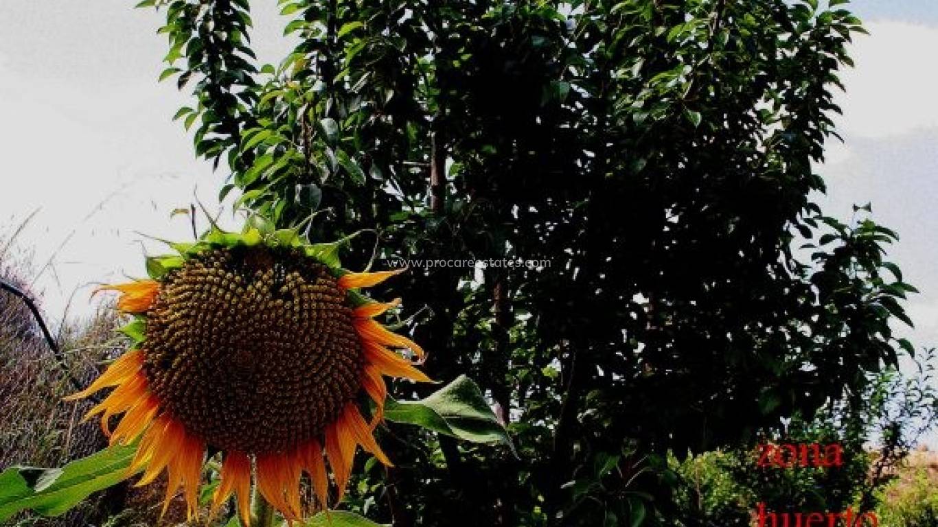 Verkoop - Villa - Gea Y Truyols