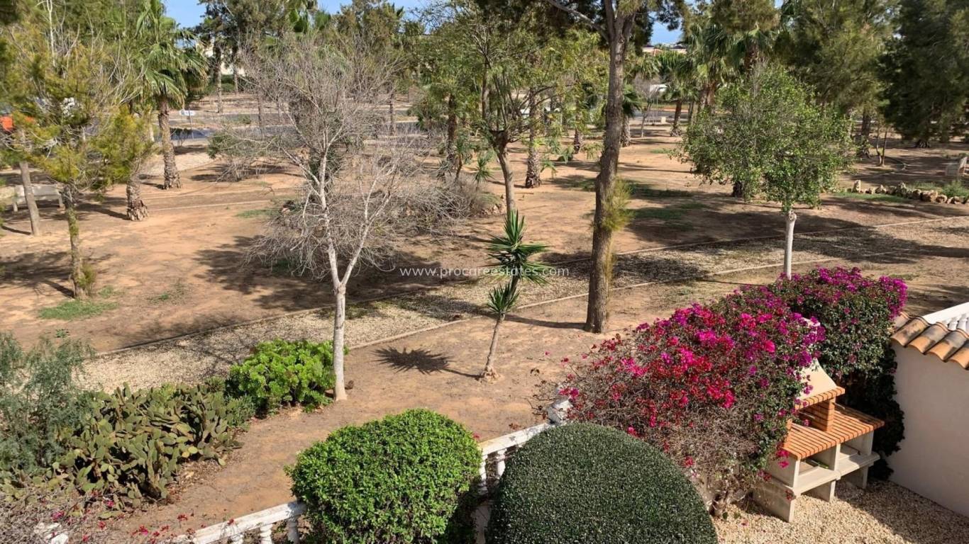 Verkoop - Villa - Guardamar del Segura - El Raso