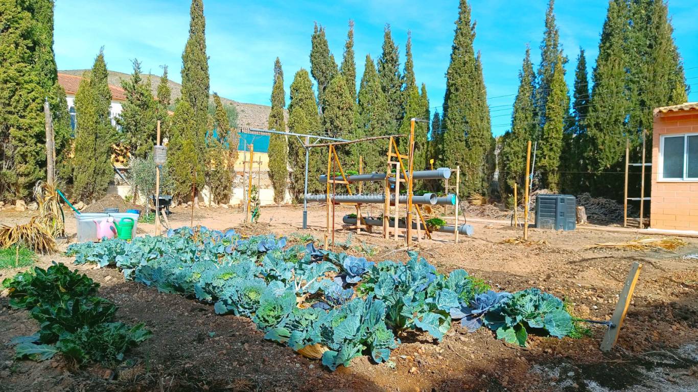 Verkoop - Villa - Hondon De Los Frailes