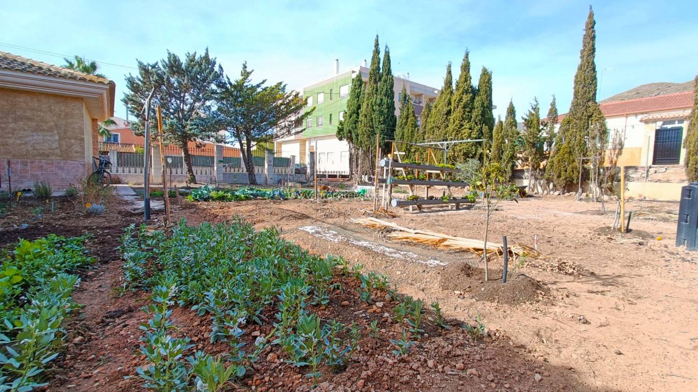 Verkoop - Villa - Hondon De Los Frailes