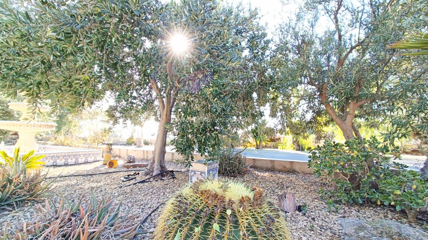 Verkoop - Villa - La Romana