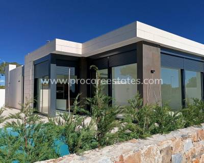 Villa - Neubau - Pilar de la Horadada - NB-47390