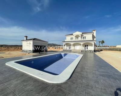 Villa - Neubau - Pinoso - HV-13640