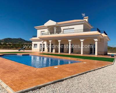 Villa - Neubau - Pinoso - Pinoso