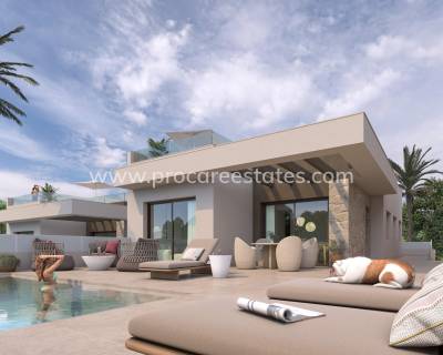 Villa - New Build - Benijofar - NB-23089