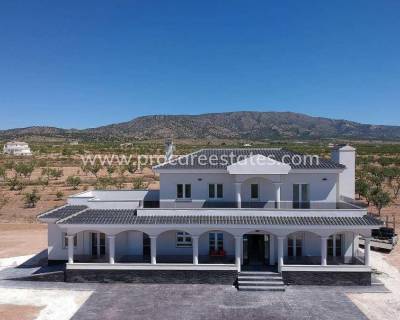 Villa - New Build - Pinoso - NB-18179