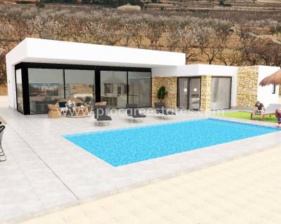 Villa - New Build - Pinoso - Pinoso