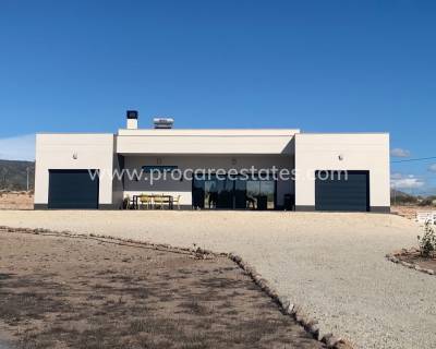 Villa - New Build - Pinoso - Pinoso