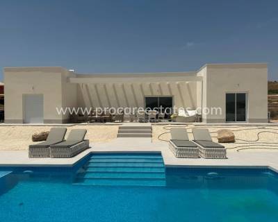 Villa - New Build - Pinoso - Pinoso