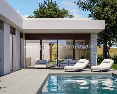 Villa - Nieuwbouw - Pinoso - NB-88853